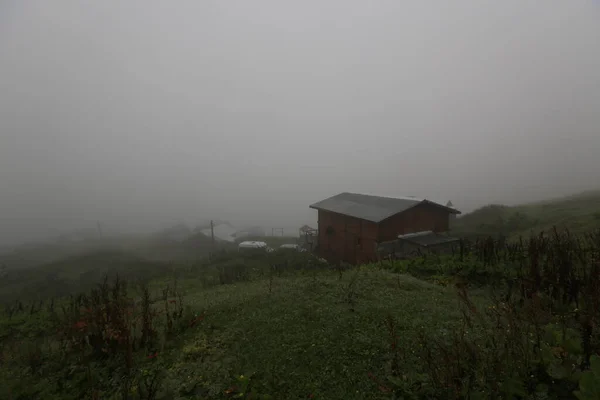 Plateau Gito Comme Une Des Activités Les Paisibles Mer Noire — Photo