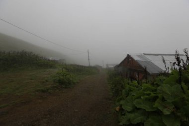 Gito Platosu, Karadeniz 'in en barışçıl faaliyetlerinden biri olarak doğayı seven herkesin hayatında en az bir kez yaşaması gereken bir yerdir..