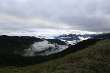Gito Platosu, Karadeniz 'in en barışçıl faaliyetlerinden biri olarak doğayı seven herkesin hayatında en az bir kez yaşaması gereken bir yerdir..
