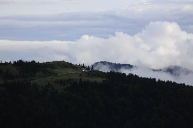 Gito Platosu, Karadeniz 'in en barışçıl faaliyetlerinden biri olarak doğayı seven herkesin hayatında en az bir kez yaşaması gereken bir yerdir..