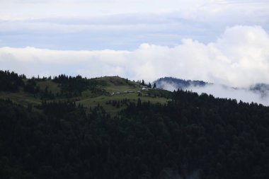 Gito Platosu, Karadeniz 'in en barışçıl faaliyetlerinden biri olarak doğayı seven herkesin hayatında en az bir kez yaşaması gereken bir yerdir..