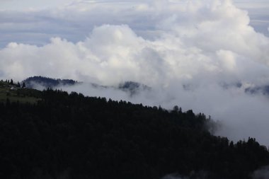 Gito Platosu, Karadeniz 'in en barışçıl faaliyetlerinden biri olarak doğayı seven herkesin hayatında en az bir kez yaşaması gereken bir yerdir..