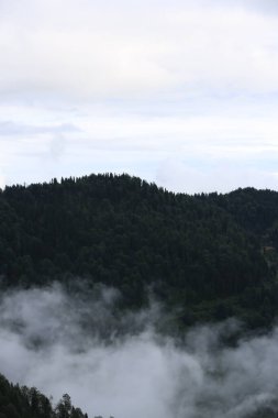 Gito Platosu, Karadeniz 'in en barışçıl faaliyetlerinden biri olarak doğayı seven herkesin hayatında en az bir kez yaşaması gereken bir yerdir..
