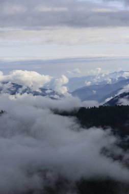 Gito Platosu, Karadeniz 'in en barışçıl faaliyetlerinden biri olarak doğayı seven herkesin hayatında en az bir kez yaşaması gereken bir yerdir..