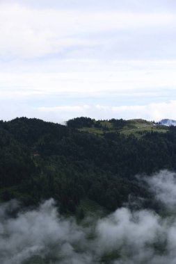 Gito Platosu, Karadeniz 'in en barışçıl faaliyetlerinden biri olarak doğayı seven herkesin hayatında en az bir kez yaşaması gereken bir yerdir..