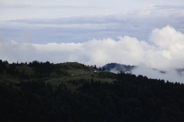 Gito Platosu, Karadeniz 'in en barışçıl faaliyetlerinden biri olarak doğayı seven herkesin hayatında en az bir kez yaşaması gereken bir yerdir..