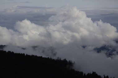 Gito Platosu, Karadeniz 'in en barışçıl faaliyetlerinden biri olarak doğayı seven herkesin hayatında en az bir kez yaşaması gereken bir yerdir..