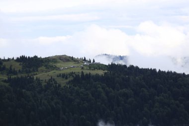Gito Platosu, Karadeniz 'in en barışçıl faaliyetlerinden biri olarak doğayı seven herkesin hayatında en az bir kez yaşaması gereken bir yerdir..