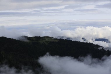 Gito Platosu, Karadeniz 'in en barışçıl faaliyetlerinden biri olarak doğayı seven herkesin hayatında en az bir kez yaşaması gereken bir yerdir..