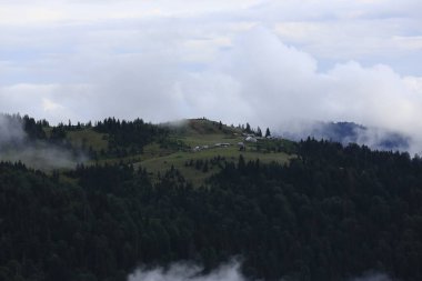 Gito Platosu, Karadeniz 'in en barışçıl faaliyetlerinden biri olarak doğayı seven herkesin hayatında en az bir kez yaşaması gereken bir yerdir..