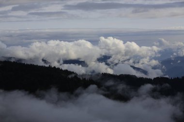 Gito Platosu, Karadeniz 'in en barışçıl faaliyetlerinden biri olarak doğayı seven herkesin hayatında en az bir kez yaşaması gereken bir yerdir..