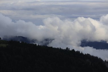 Gito Platosu, Karadeniz 'in en barışçıl faaliyetlerinden biri olarak doğayı seven herkesin hayatında en az bir kez yaşaması gereken bir yerdir..