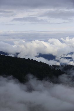 Gito Platosu, Karadeniz 'in en barışçıl faaliyetlerinden biri olarak doğayı seven herkesin hayatında en az bir kez yaşaması gereken bir yerdir..