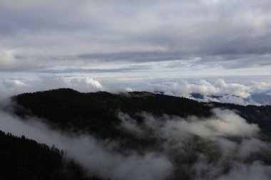 Gito Platosu, Karadeniz 'in en barışçıl faaliyetlerinden biri olarak doğayı seven herkesin hayatında en az bir kez yaşaması gereken bir yerdir..