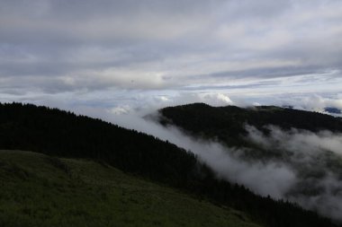 Gito Platosu, Karadeniz 'in en barışçıl faaliyetlerinden biri olarak doğayı seven herkesin hayatında en az bir kez yaşaması gereken bir yerdir..