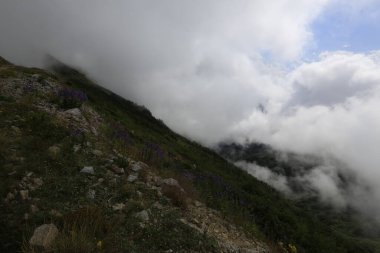 Gito Platosu, Karadeniz 'in en barışçıl faaliyetlerinden biri olarak doğayı seven herkesin hayatında en az bir kez yaşaması gereken bir yerdir..