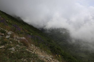 Gito Platosu, Karadeniz 'in en barışçıl faaliyetlerinden biri olarak doğayı seven herkesin hayatında en az bir kez yaşaması gereken bir yerdir..