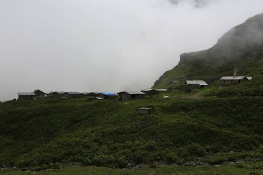 Gito Platosu, Karadeniz 'in en barışçıl faaliyetlerinden biri olarak doğayı seven herkesin hayatında en az bir kez yaşaması gereken bir yerdir..