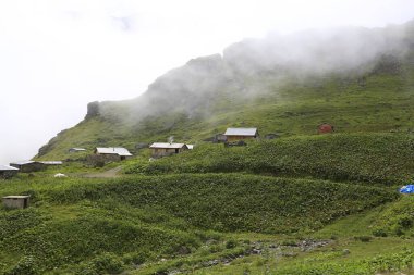 Gito Platosu, Karadeniz 'in en barışçıl faaliyetlerinden biri olarak doğayı seven herkesin hayatında en az bir kez yaşaması gereken bir yerdir..