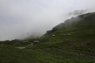 Gito Platosu, Karadeniz 'in en barışçıl faaliyetlerinden biri olarak doğayı seven herkesin hayatında en az bir kez yaşaması gereken bir yerdir..