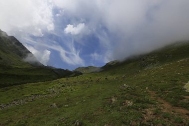 Gito Platosu, Karadeniz 'in en barışçıl faaliyetlerinden biri olarak doğayı seven herkesin hayatında en az bir kez yaşaması gereken bir yerdir..