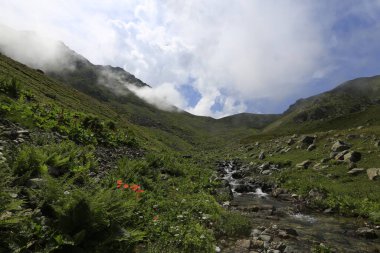Gito Platosu, Karadeniz 'in en barışçıl faaliyetlerinden biri olarak doğayı seven herkesin hayatında en az bir kez yaşaması gereken bir yerdir..