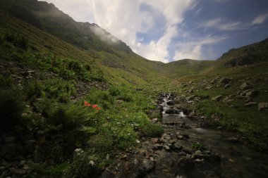 Gito Platosu, Karadeniz 'in en barışçıl faaliyetlerinden biri olarak doğayı seven herkesin hayatında en az bir kez yaşaması gereken bir yerdir..