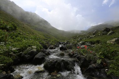 Gito Platosu, Karadeniz 'in en barışçıl faaliyetlerinden biri olarak doğayı seven herkesin hayatında en az bir kez yaşaması gereken bir yerdir..