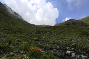 Gito Platosu, Karadeniz 'in en barışçıl faaliyetlerinden biri olarak doğayı seven herkesin hayatında en az bir kez yaşaması gereken bir yerdir..
