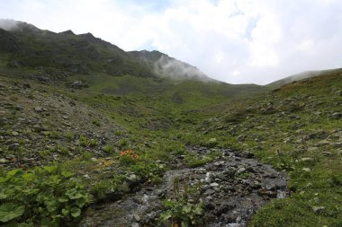Gito Platosu, Karadeniz 'in en barışçıl faaliyetlerinden biri olarak doğayı seven herkesin hayatında en az bir kez yaşaması gereken bir yerdir..