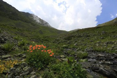 Gito Platosu, Karadeniz 'in en barışçıl faaliyetlerinden biri olarak doğayı seven herkesin hayatında en az bir kez yaşaması gereken bir yerdir..
