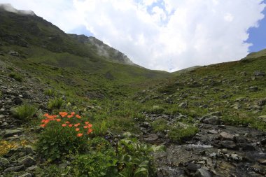 Gito Platosu, Karadeniz 'in en barışçıl faaliyetlerinden biri olarak doğayı seven herkesin hayatında en az bir kez yaşaması gereken bir yerdir..
