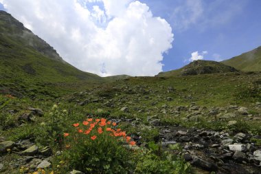 Gito Platosu, Karadeniz 'in en barışçıl faaliyetlerinden biri olarak doğayı seven herkesin hayatında en az bir kez yaşaması gereken bir yerdir..