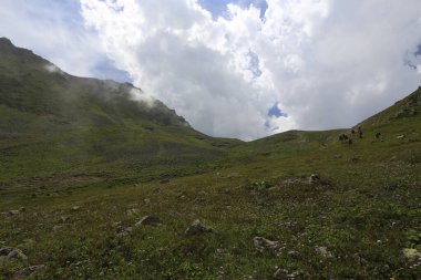 Gito Platosu, Karadeniz 'in en barışçıl faaliyetlerinden biri olarak doğayı seven herkesin hayatında en az bir kez yaşaması gereken bir yerdir..