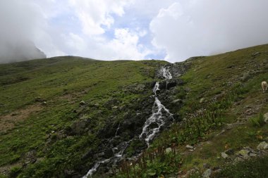 Gito Platosu, Karadeniz 'in en barışçıl faaliyetlerinden biri olarak doğayı seven herkesin hayatında en az bir kez yaşaması gereken bir yerdir..