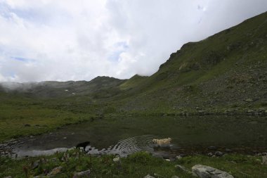 Gito Platosu, Karadeniz 'in en barışçıl faaliyetlerinden biri olarak doğayı seven herkesin hayatında en az bir kez yaşaması gereken bir yerdir..