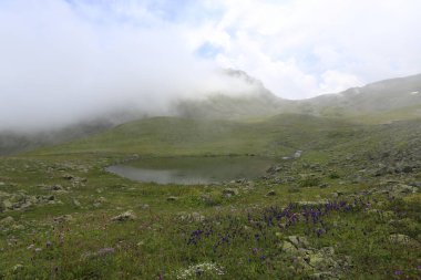 Gito Platosu, Karadeniz 'in en barışçıl faaliyetlerinden biri olarak doğayı seven herkesin hayatında en az bir kez yaşaması gereken bir yerdir..