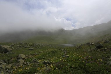 Gito Platosu, Karadeniz 'in en barışçıl faaliyetlerinden biri olarak doğayı seven herkesin hayatında en az bir kez yaşaması gereken bir yerdir..