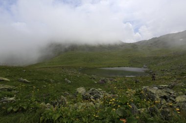 Gito Platosu, Karadeniz 'in en barışçıl faaliyetlerinden biri olarak doğayı seven herkesin hayatında en az bir kez yaşaması gereken bir yerdir..