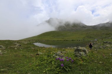 Gito Platosu, Karadeniz 'in en barışçıl faaliyetlerinden biri olarak doğayı seven herkesin hayatında en az bir kez yaşaması gereken bir yerdir..
