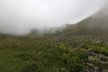 Gito Platosu, Karadeniz 'in en barışçıl faaliyetlerinden biri olarak doğayı seven herkesin hayatında en az bir kez yaşaması gereken bir yerdir..