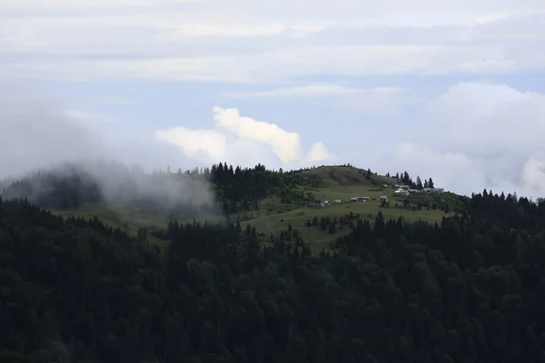 Gito Plateau Jako Jedna Nejmírumilovnějších Aktivit Černého Moře Místem Kde — Stock fotografie