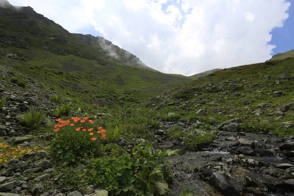 Gito Platosu, Karadeniz 'in en barışçıl faaliyetlerinden biri olarak doğayı seven herkesin hayatında en az bir kez yaşaması gereken bir yerdir..