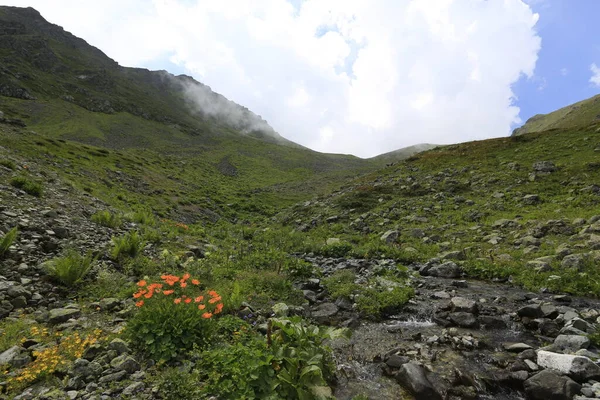 Gito Platosu, Karadeniz 'in en barışçıl faaliyetlerinden biri olarak doğayı seven herkesin hayatında en az bir kez yaşaması gereken bir yerdir..