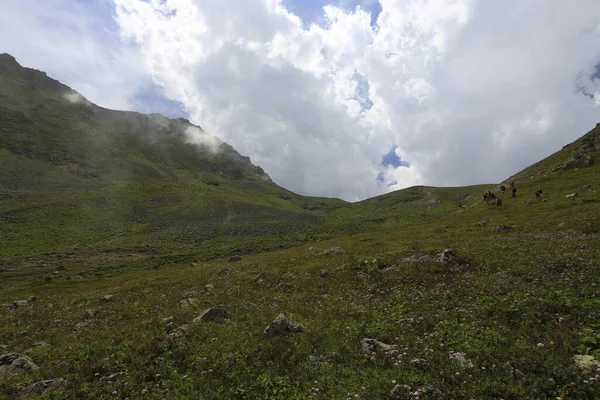 Gito Platosu, Karadeniz 'in en barışçıl faaliyetlerinden biri olarak doğayı seven herkesin hayatında en az bir kez yaşaması gereken bir yerdir..