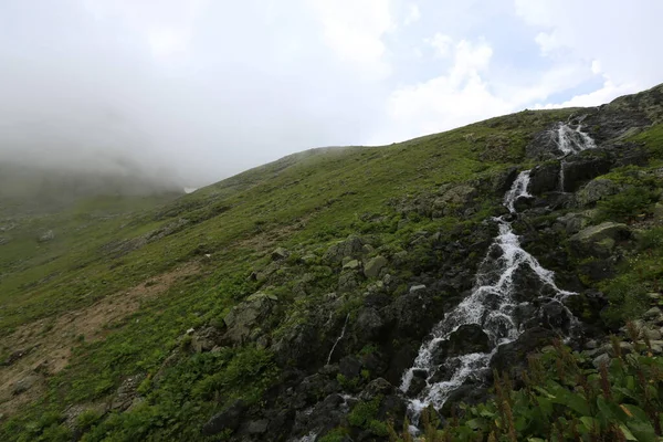 Gito Platosu, Karadeniz 'in en barışçıl faaliyetlerinden biri olarak doğayı seven herkesin hayatında en az bir kez yaşaması gereken bir yerdir..