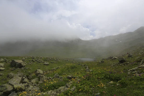 Gito Platosu, Karadeniz 'in en barışçıl faaliyetlerinden biri olarak doğayı seven herkesin hayatında en az bir kez yaşaması gereken bir yerdir..