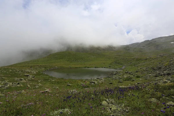 Gito Platosu Karadeniz Barışçıl Faaliyetlerinden Biri Olarak Doğayı Seven Herkesin — Stok fotoğraf