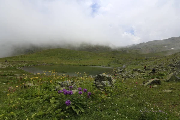 Gito Platosu, Karadeniz 'in en barışçıl faaliyetlerinden biri olarak doğayı seven herkesin hayatında en az bir kez yaşaması gereken bir yerdir..