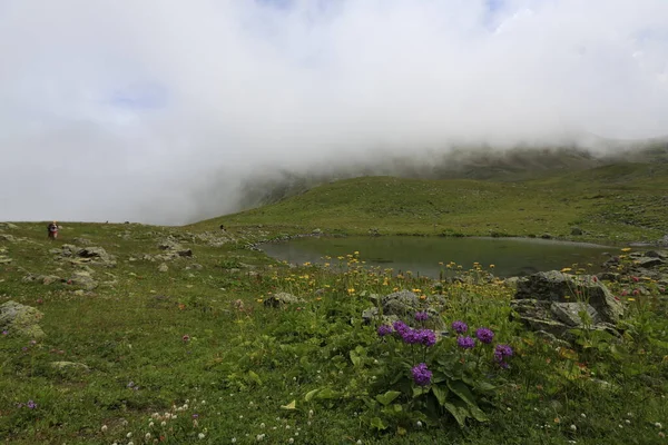 Gito Platosu Karadeniz Barışçıl Faaliyetlerinden Biri Olarak Doğayı Seven Herkesin — Stok fotoğraf